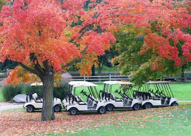 A row of golf carts on a golf course in beautiful autumn Wisconsin